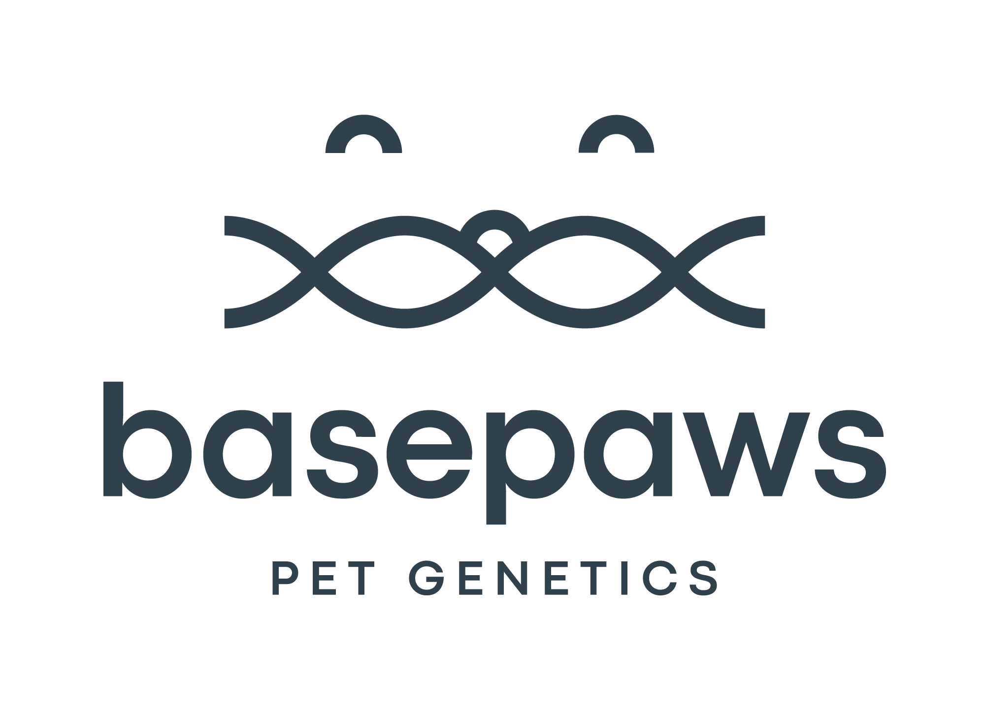 DNA Tests for Cats & Dogs by Basepaws | Discover your pet’s genetic blueprint