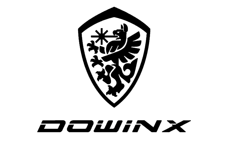 dowinx.com