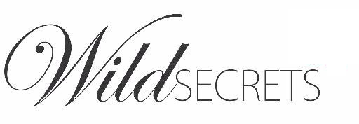 Sex Toys, Adult Toys, Adult Shop | Wild Secrets