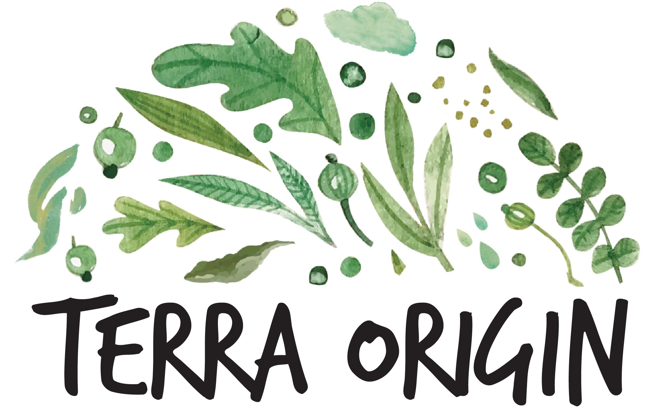 Terra Origin: Natural Gut Supplements, Electrolytes, Probiotics & More