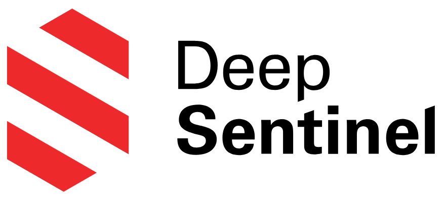 deepsentinel.com