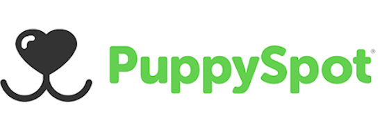 Find the Right Puppy for Your Family | PuppySpot