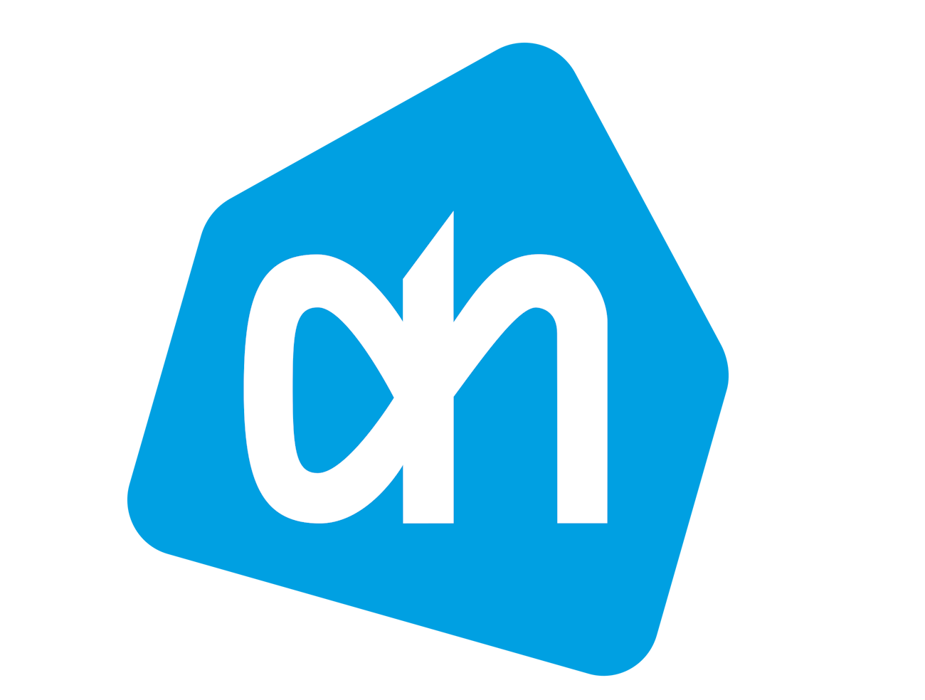 Albert Heijn: boodschappen doen bij de grootste supermarkt