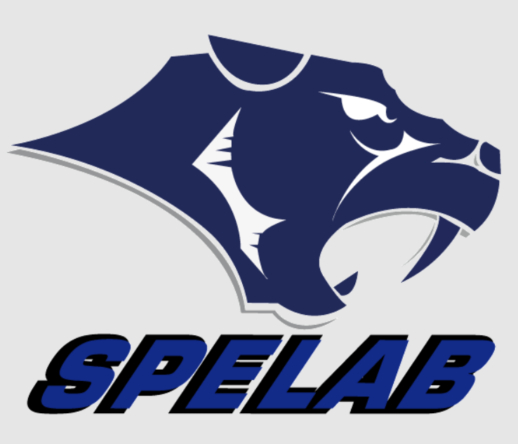 SPELAB - Car Replacement Parts, Auto Parts & full delete kit