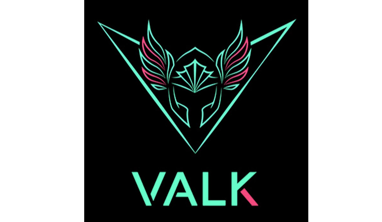 valkgaming.com