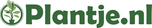Plantje.nl - Planten kopen online vers van de kweker!