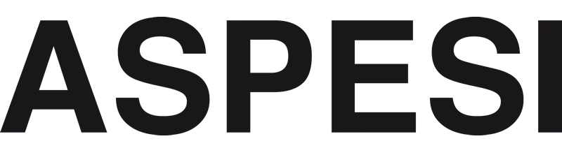 aspesi.com