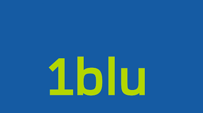 Webhosting, Homepage, Server, Onlinespeicher, Webbaukasten & Domains: 1blu