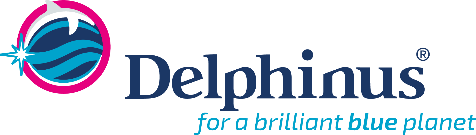Swim with dolphins in Mexico | Delphinus