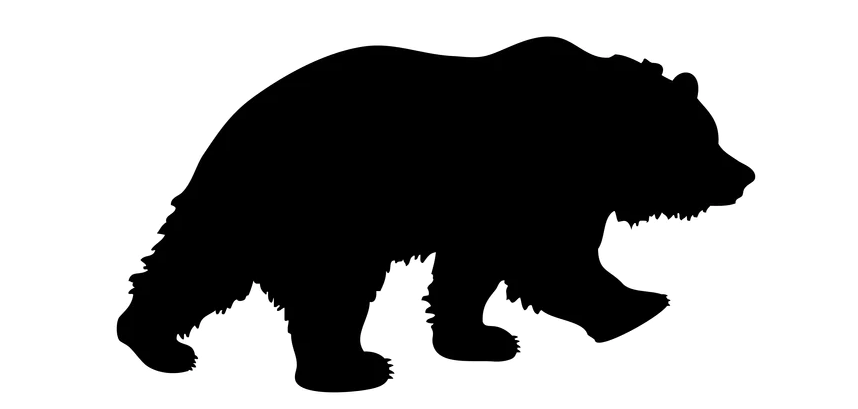 Rugged Leather Goods – Kodiak Leather Co.