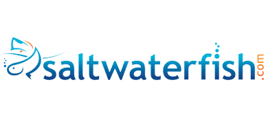 saltwaterfish.com